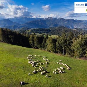 Uspešno izvedena predavanja o odpravi zaraščanja in upravljanju travnikov ter pašnikov