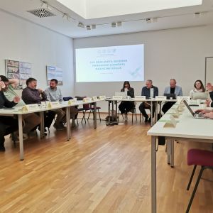 Seja sveta regije in vsebine prostorskega razvoja regije 