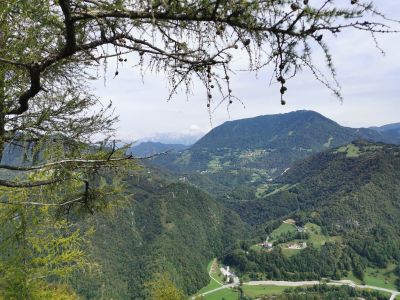 Vlada razglasila Arheološki park Divje babe za kulturni spomenik državnega pomena - img-20200826-110023-jpg.jpg