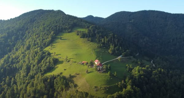 Analiza stroškov in koristi ekološkega kmetovanja